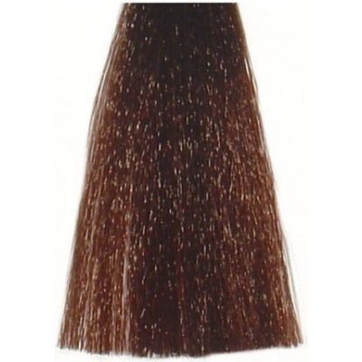 Bes Hi Fi Hair Color Krémová barva na vlasy Kaštanová intenzivní 4 00 100 ml