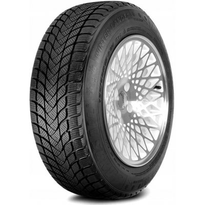 Landsail Winter Lander 205/50 R17 93H – Zboží Mobilmania