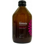 Vigo Kombucha mango a maracuja bio 330 ml – Zbozi.Blesk.cz