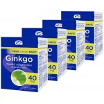 GS Ginkgo 40 mg 4 x 120 tablet – Hledejceny.cz
