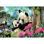 Educa Panda s mládětem 1000 dílků – Zboží Mobilmania