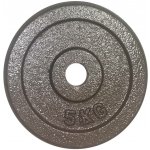 FitnessLine Kotouč litinový 30 mm - 5 kg – Hledejceny.cz