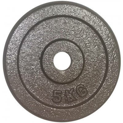 FitnessLine Kotouč litinový 30 mm - 5 kg – Hledejceny.cz