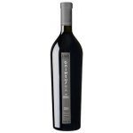 MontRubí Gaintus Vertical Sumoll 2017 13,5% 0,75 l (holá láhev) – Hledejceny.cz