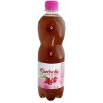 Stevikom Kombucha černý čaj Bio s malinou 0,5 l – Zboží Dáma