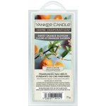 Yankee Candle vonný vosk Sweet Orange Blossom Wax Melts 75 g – Hledejceny.cz