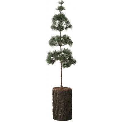 Ib Laursen Umělý stromek Cedar Tree 60 cm zelená barva plast – Zboží Mobilmania