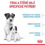 Royal Canin Starter Mother&Babydog Mini 3 kg – Sleviste.cz