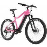 Leader Fox Swan 3 2023 – Sleviste.cz