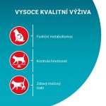 Purina ONE Bifensis sterilcat hovězí a pšenice 0,8 kg – Sleviste.cz