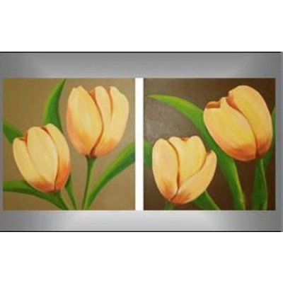 Vícedílné obrazy - Tulipány, 2x 40x40cm