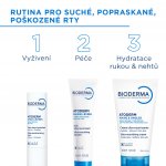 Bioderma Atoderm balzám na rty 15 ml – Sleviste.cz