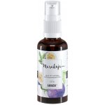 Anwen Hair Oil Marakuja Vlasový olej s vůni marakuji 50 ml – Hledejceny.cz