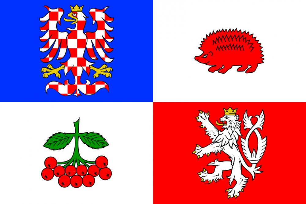 Kraj Vysočina vlajka – Zboží Dáma