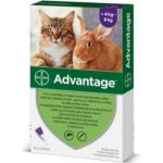 Advantage Spot-on pro malé kočky a králíky 80 mg 6 x 0,8 ml – Hledejceny.cz