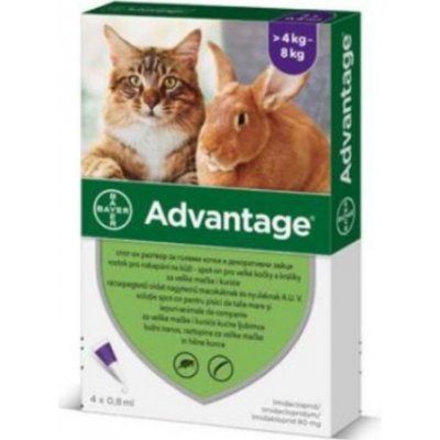 Advantage Spot-on pro malé kočky a králíky 80 mg 6 x 0,8 ml – Hledejceny.cz