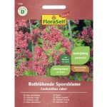 Mavuň červená FloraSelf Select – Sleviste.cz