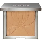 Sisley Blur Expert Matující pudr s vyhlazujícím efektem 11 g – Hledejceny.cz