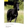 Penguin Readers 2 Black Beauty book