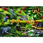 RAVENSBURGER Úžasní obojživelníci 35 dílků – Hledejceny.cz