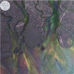 Alt-J - An Awesome Wave CD – Sleviste.cz