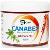 Dr.Cann Canabex konopné mazání hřejivý gel 250 ml