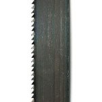SCHEPPACH Pás 12/0,50/2360, 4 Z/Z – Hledejceny.cz