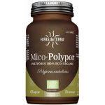 Hifas da Terra Mico-Polypor 70 kapslí Bio – Hledejceny.cz