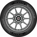 Dunlop Sport All Season 215/55 R17 98W – Hledejceny.cz