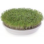 Eschenfelder miska na klíčení obilovin 21,5 cm bílá – Zboží Dáma