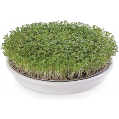 Eschenfelder miska na klíčení obilovin 21,5 cm bílá – Zboží Dáma