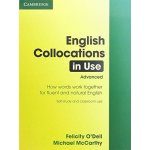 English Collocations in Use adv. with key – Hledejceny.cz