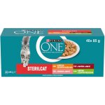 Purina ONE Sterilcat Mini filetky s kuřetem krůtou hovězím lososem se zeleninou 40 x 85 g – Zboží Mobilmania