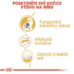 Royal Canin Bengal 10 kg – Hledejceny.cz