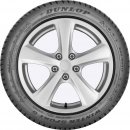 Dunlop Winter Sport 5 205/50 R17 93H