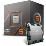 AMD Ryzen 5 8500G 100-100000931BOX – Zboží Živě