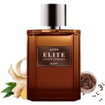 Avon Elite Gentleman Quest toaletní voda pánská 75 ml – Hledejceny.cz