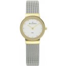  Skagen 358SGSCD