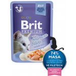 Brit Premium Cat Delicate Fillets in Jelly with Salmon 24 x 85 g – Sleviste.cz