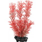 Tetra Myriophyllum heterophyllum - Red Foxtail 23 cm – Zboží Mobilmania