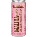 R. JELÍNEK Malina & Citron 3,1% 0,25 l (holá láhev) – Sleviste.cz