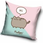 Carbotex Polštář Kočička Pusheen 40x40 – Zboží Dáma