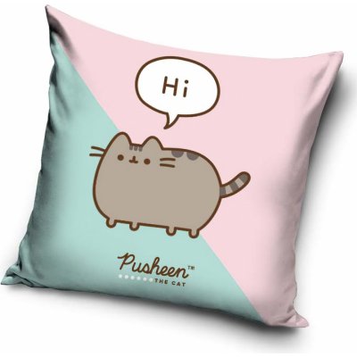 Carbotex Polštář Kočička Pusheen 40x40