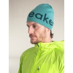 Icebreaker Merino Icebreaker Beanie Cloud Ray/Fathom Green – Sleviste.cz