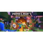 Minecraft: Java & Bedrock Collection – Zboží Dáma