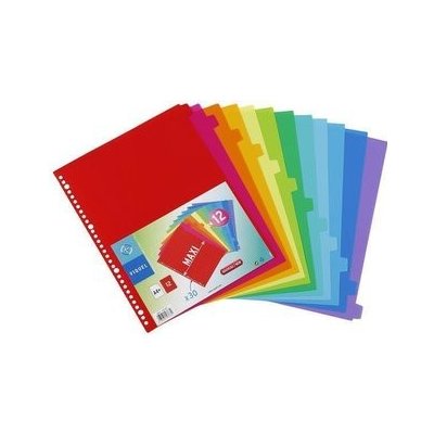 Viquel Rozlišovače, plastové, A4 Maxi, 12 částí, VIQUEL 21726 – Sleviste.cz