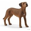 Figurka Schleich 13895 Farm World Rhodesian Ridgeback