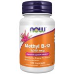 Now Foods Foods Methyl B-12 1000mcg 100 pastilek – Hledejceny.cz