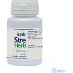 Joalis StreHerb StressHelp Bylinné kapsle 100 kapslí – Hledejceny.cz