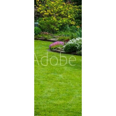 WEBLUX 64923013 Samolepka na dveře fólie Gartenansicht mit Rasen und BepflanzungVýhled do zahrady s trávníkem a výsadbou rozměry 90 x 220 cm – Zbozi.Blesk.cz